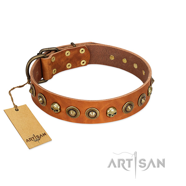 Genuine leather collar with significant studs for your doggie