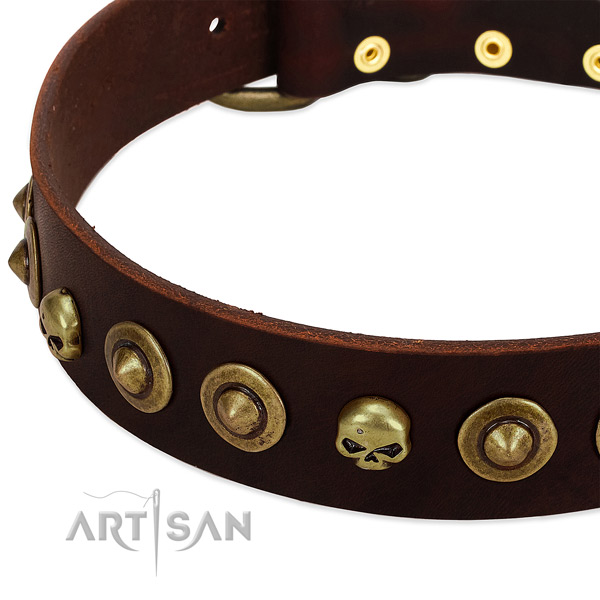 Stylish decorations on full grain natural leather collar for your four-legged friend