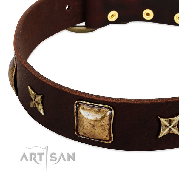 Rust resistant traditional buckle on genuine leather dog collar for your canine