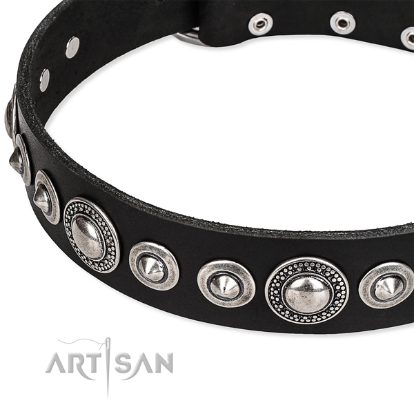 Handy use studded dog collar of durable full grain natural leather