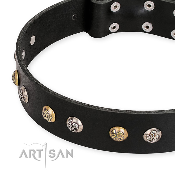 Full grain genuine leather dog collar with designer corrosion resistant studs