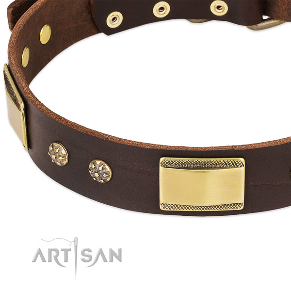 Durable embellishments on full grain leather dog collar for your four-legged friend