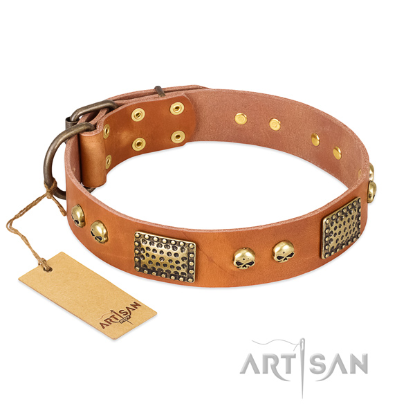 Easy adjustable leather dog collar for daily walking your canine