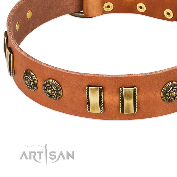 Rust-proof traditional buckle on full grain genuine leather dog collar for your dog