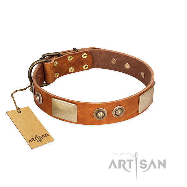 Adjustable full grain leather dog collar for walking your dog
