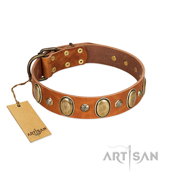 Natural leather dog collar of high quality material with significant studs