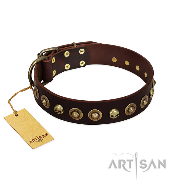 Full grain leather collar with stylish decorations for your canine