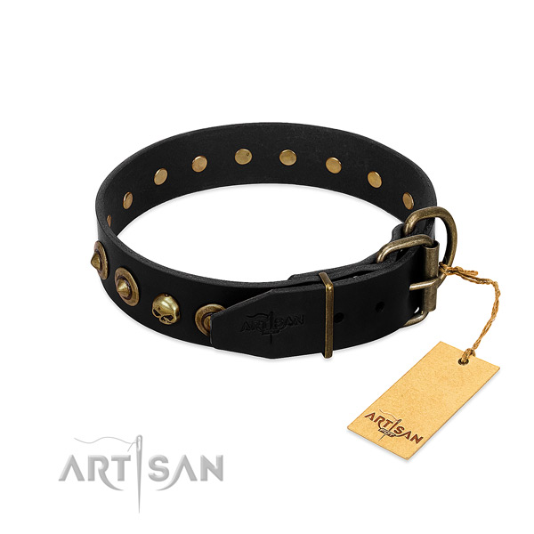 Genuine leather collar with designer embellishments for your canine