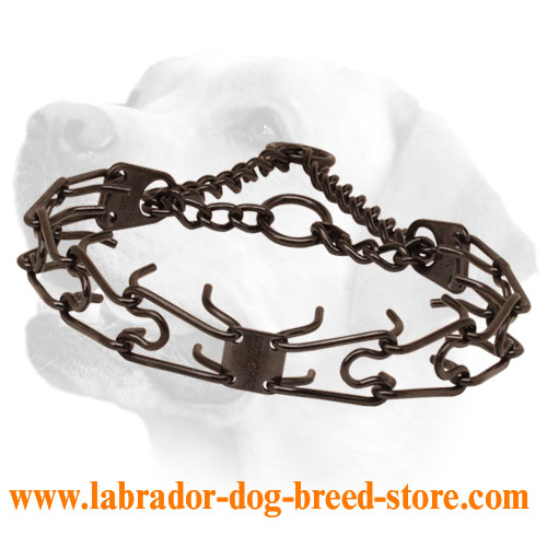 Pinch collar of corrosion resistant black stainless steel for badly behaved canines