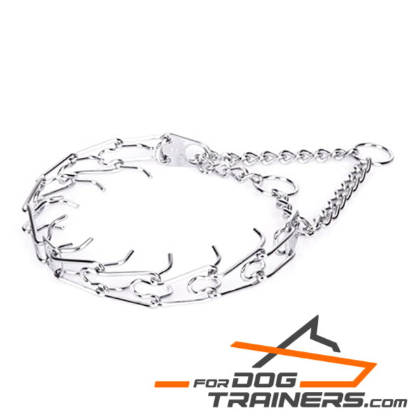 Classical Dog Pinch Collar for training