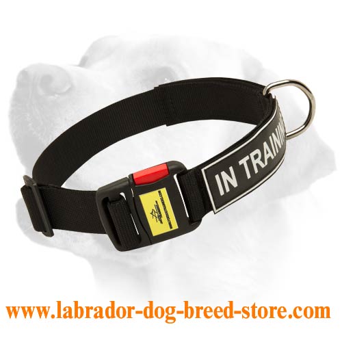 easy release dog collar