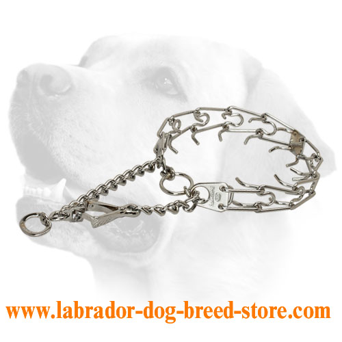 Chrome plated steel dog pinch prong collar with swivel and small snap hook  - 50146 (02) 1/6 inch (3.9 mm) [HS35#1026 50146 (02) (3.99) Collar with  swivel] : Labrador dog harness, Labrador dog muzzle, Labrador dog collar, Dog  leash