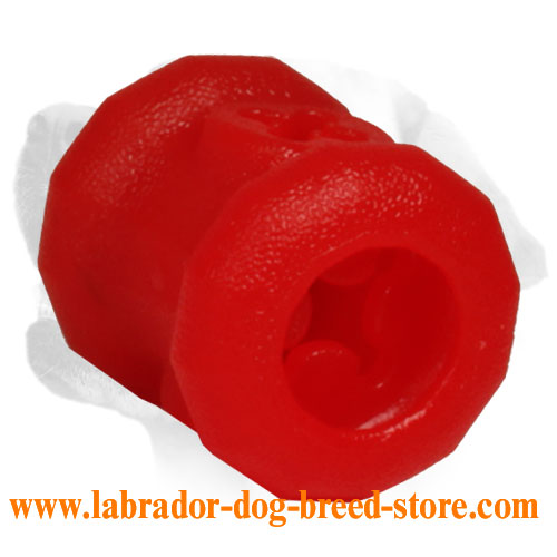 https://www.labrador-dog-breed-store.com/images/large/Labrador-ball-chewing-of-foam-in-small-size_LRG.jpg