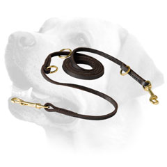 Equipped With Brass Fittings Leather Labrador Leash