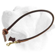 ObedienceTraining Leather Dog Leash For Labrador 