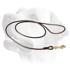 Round Leather Dog Leash With Brass Hardware For Labrador 