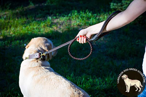 Labrador leather leash with reliable brass plated hardware for any activity