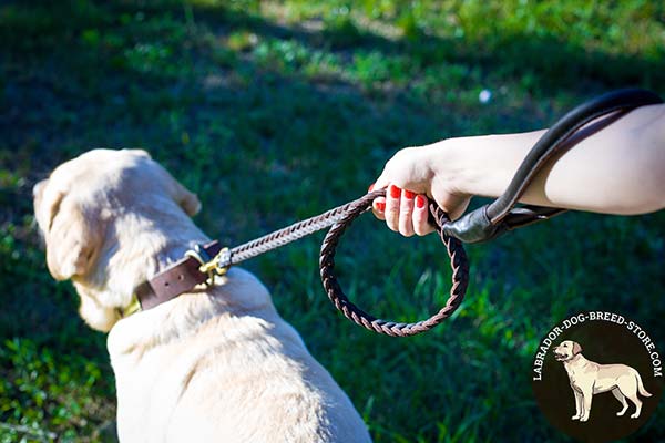 Labrador leather leash of braided design with handle for daily walks