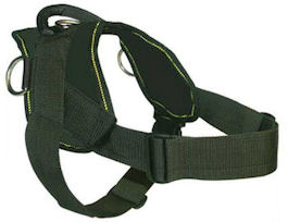 Labrador Harness